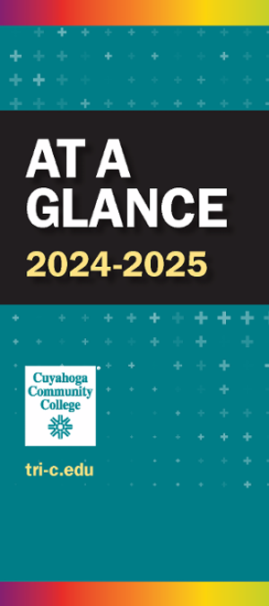 At A Glance 2024-25